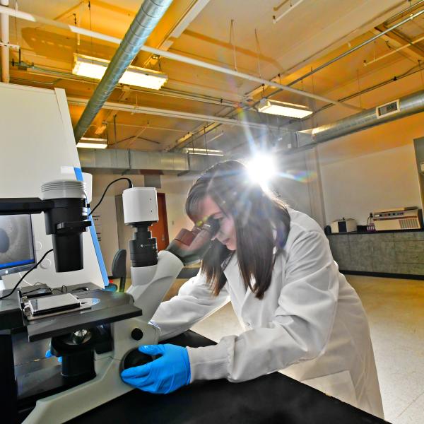 Lab Space